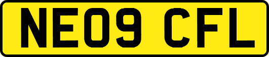 NE09CFL