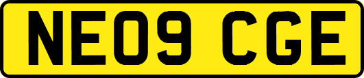 NE09CGE
