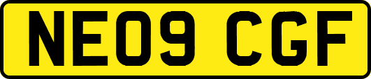 NE09CGF