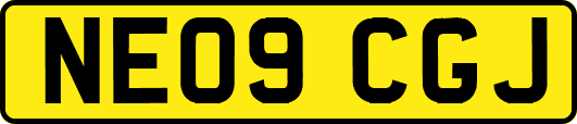 NE09CGJ