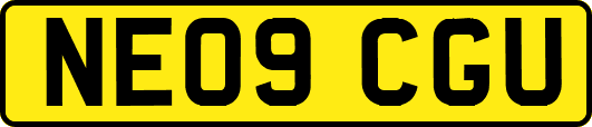 NE09CGU