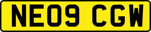 NE09CGW