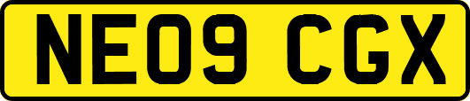 NE09CGX