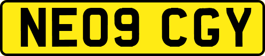 NE09CGY