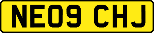 NE09CHJ