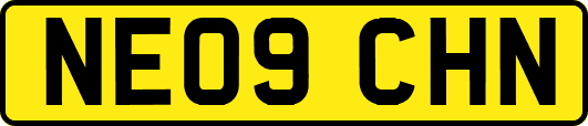 NE09CHN
