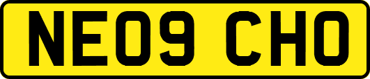 NE09CHO