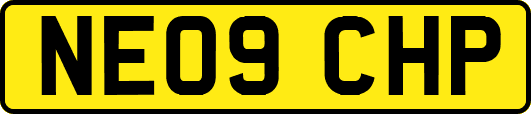 NE09CHP