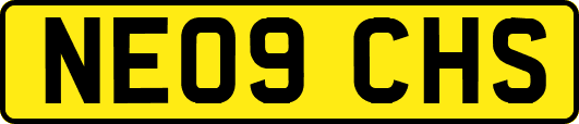 NE09CHS