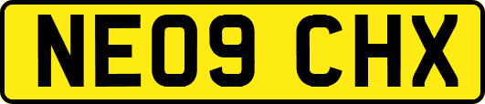 NE09CHX