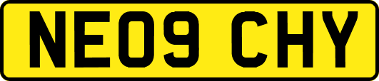 NE09CHY
