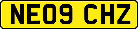 NE09CHZ