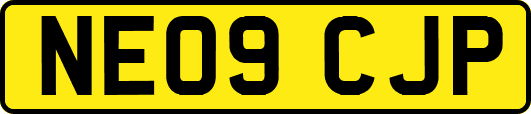 NE09CJP
