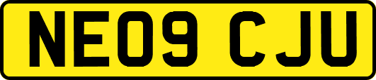NE09CJU