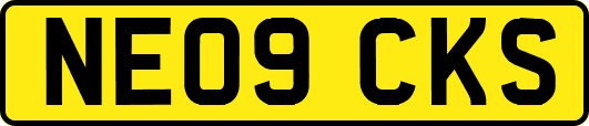 NE09CKS