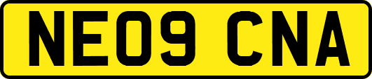NE09CNA