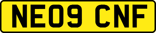NE09CNF