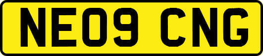 NE09CNG