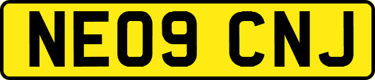 NE09CNJ