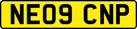 NE09CNP