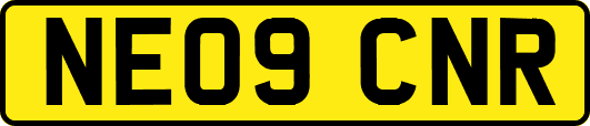NE09CNR