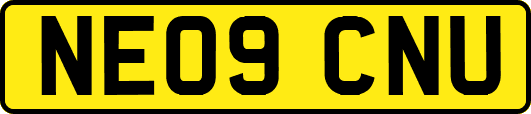 NE09CNU