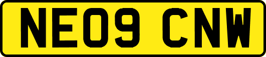 NE09CNW