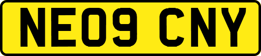 NE09CNY