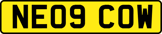 NE09COW