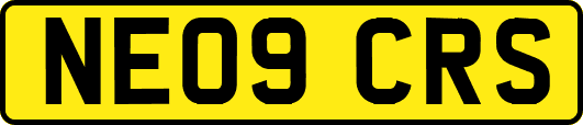 NE09CRS
