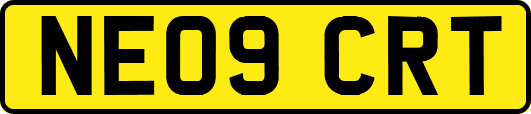 NE09CRT