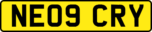 NE09CRY