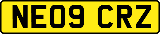 NE09CRZ