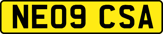 NE09CSA