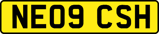 NE09CSH