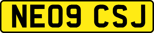 NE09CSJ