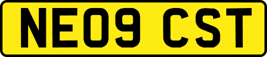 NE09CST