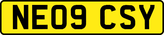 NE09CSY