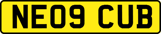 NE09CUB