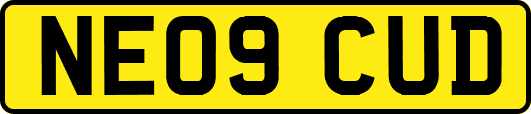 NE09CUD