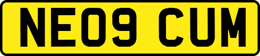 NE09CUM
