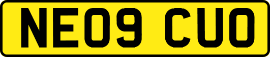NE09CUO