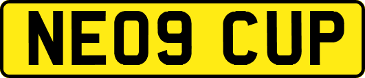 NE09CUP