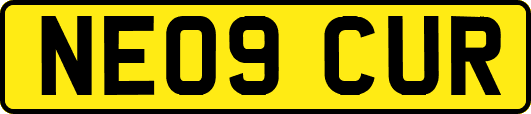 NE09CUR