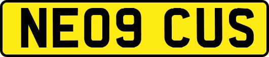 NE09CUS