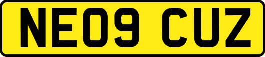NE09CUZ