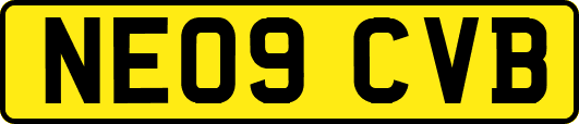 NE09CVB