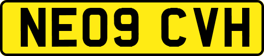 NE09CVH