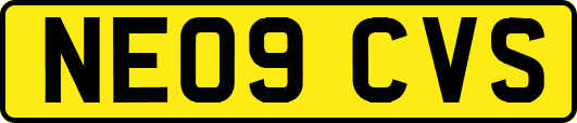 NE09CVS