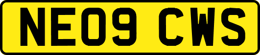 NE09CWS
